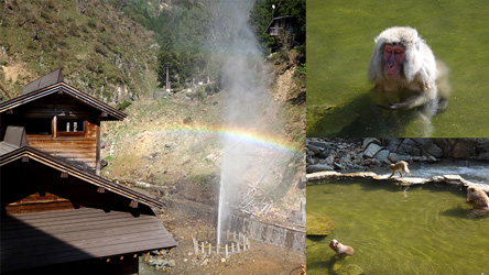 地獄谷野猿公苑